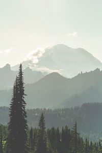 Preview wallpaper mountains, forest, fog, landscape, nature