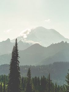 Preview wallpaper mountains, forest, fog, landscape, nature