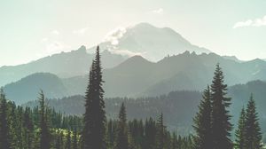 Preview wallpaper mountains, forest, fog, landscape, nature
