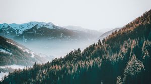 Preview wallpaper mountains, forest, fog, nature