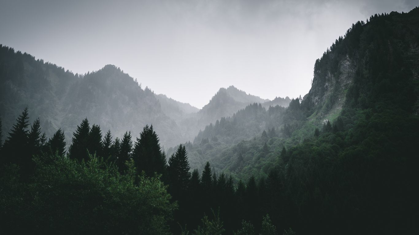 Mountains Forest Fog 169767 1366x768 