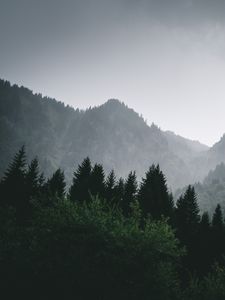 Preview wallpaper mountains, forest, fog, landscape