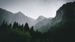 Preview wallpaper mountains, forest, fog, landscape