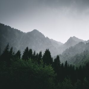 Preview wallpaper mountains, forest, fog, landscape