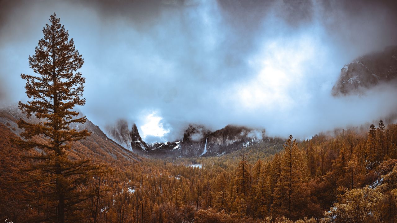 Wallpaper mountains, forest, fog, autumn, nature