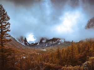 Preview wallpaper mountains, forest, fog, autumn, nature