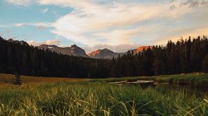 Preview wallpaper mountains, forest, grass, lake