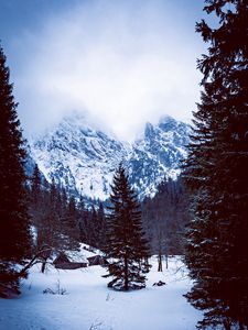 Preview wallpaper mountains, forest, hut, snow