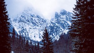 Preview wallpaper mountains, forest, hut, snow