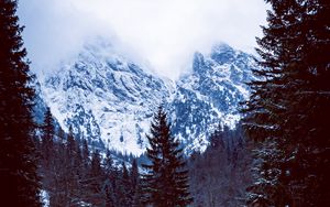 Preview wallpaper mountains, forest, hut, snow