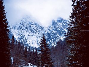 Preview wallpaper mountains, forest, hut, snow