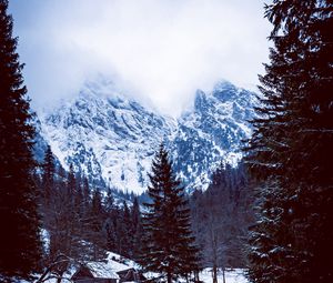 Preview wallpaper mountains, forest, hut, snow