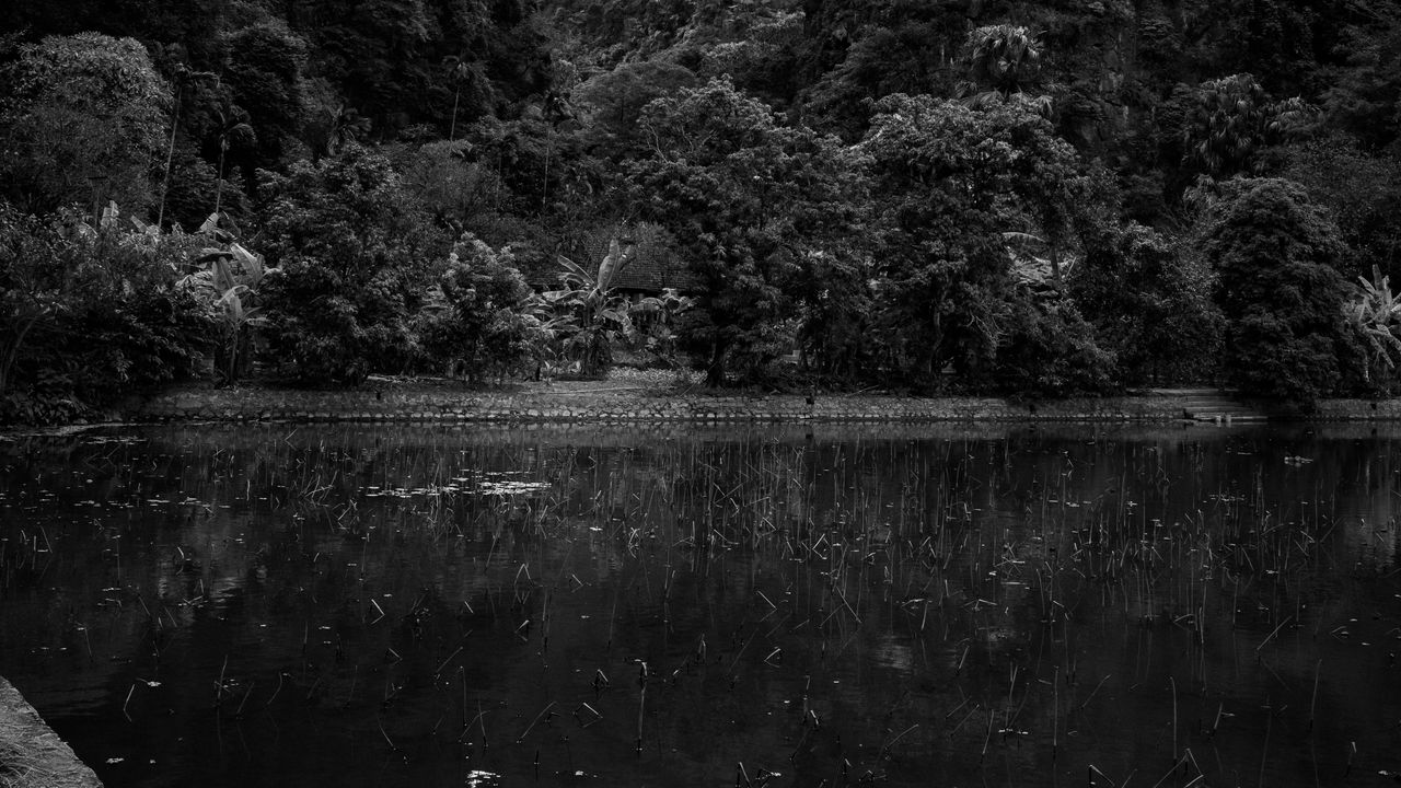 Wallpaper mountains, forest, lake, clouds, black and white, nature