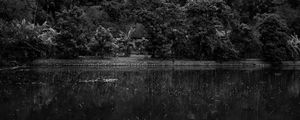 Preview wallpaper mountains, forest, lake, clouds, black and white, nature