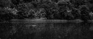 Preview wallpaper mountains, forest, lake, clouds, black and white, nature