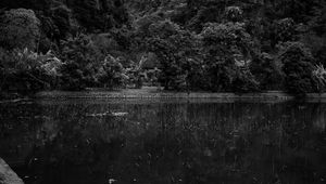 Preview wallpaper mountains, forest, lake, clouds, black and white, nature