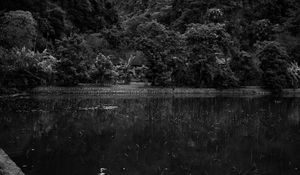 Preview wallpaper mountains, forest, lake, clouds, black and white, nature