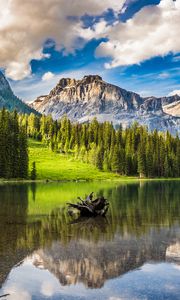 Preview wallpaper mountains, forest, lake, snag