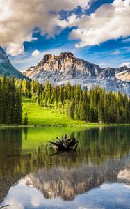 Preview wallpaper mountains, forest, lake, snag