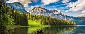 Preview wallpaper mountains, forest, lake, snag