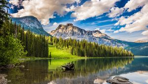 Preview wallpaper mountains, forest, lake, snag