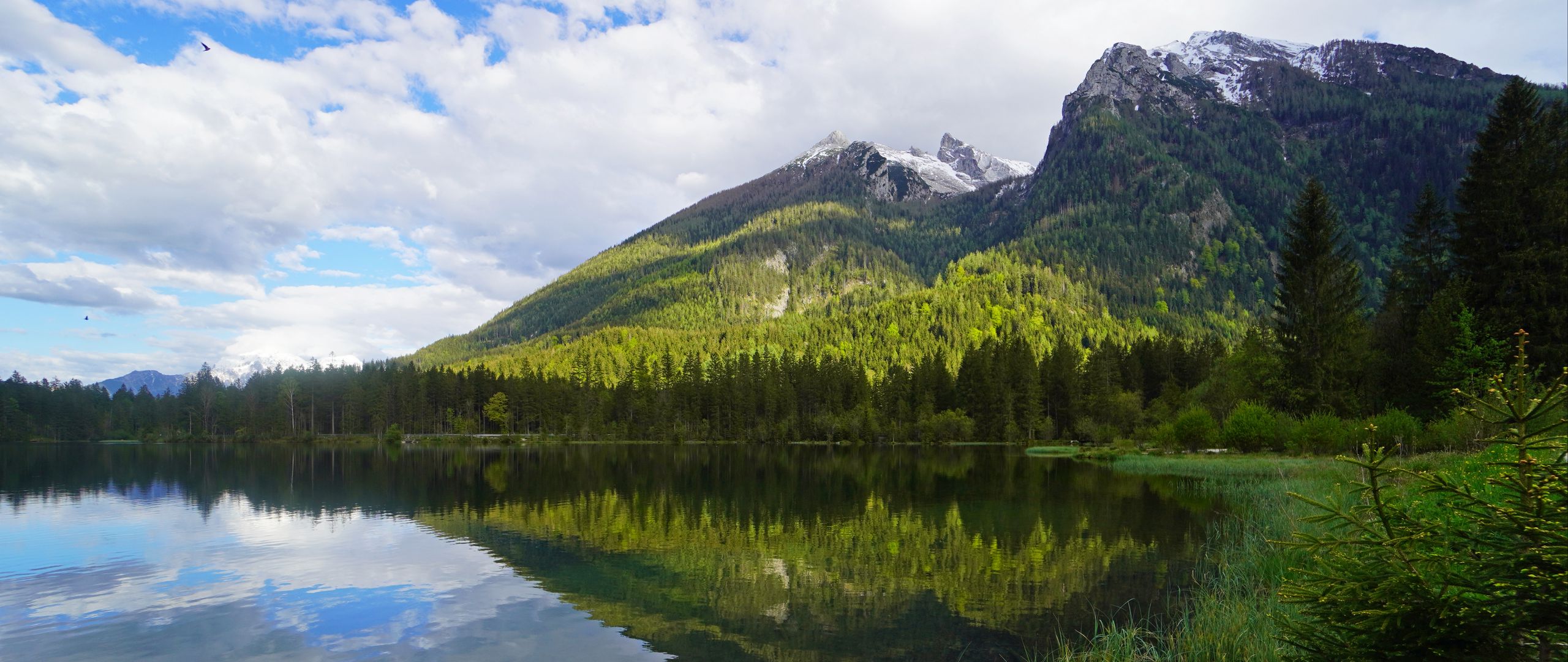 Download wallpaper 2560x1080 mountains, forest, lake, reflection