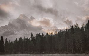 Preview wallpaper mountains, forest, landscape, lake, shore, clouds