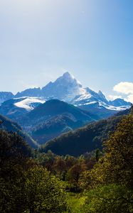 Preview wallpaper mountains, forest, landscape, trees, peak, mountain range