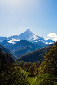 Preview wallpaper mountains, forest, landscape, trees, peak, mountain range