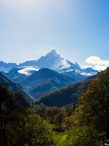 Preview wallpaper mountains, forest, landscape, trees, peak, mountain range