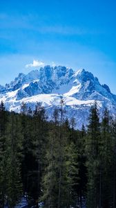 Preview wallpaper mountains, forest, landscape, top, snow, trees