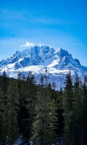Preview wallpaper mountains, forest, landscape, top, snow, trees