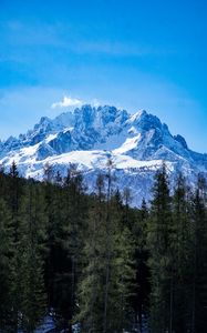 Preview wallpaper mountains, forest, landscape, top, snow, trees