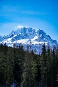 Preview wallpaper mountains, forest, landscape, top, snow, trees