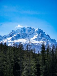 Preview wallpaper mountains, forest, landscape, top, snow, trees