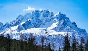 Preview wallpaper mountains, forest, landscape, top, snow, trees