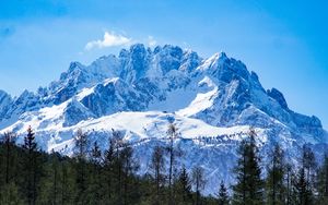 Preview wallpaper mountains, forest, landscape, top, snow, trees