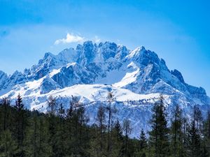 Preview wallpaper mountains, forest, landscape, top, snow, trees
