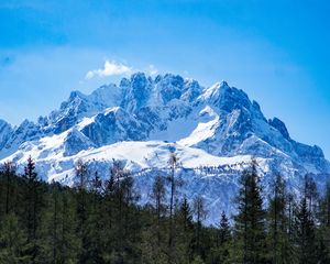 Preview wallpaper mountains, forest, landscape, top, snow, trees
