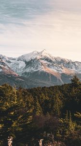 Preview wallpaper mountains, forest, landscape, peaks, snowy