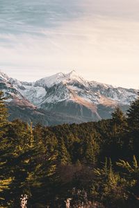 Preview wallpaper mountains, forest, landscape, peaks, snowy