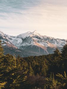 Preview wallpaper mountains, forest, landscape, peaks, snowy