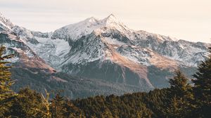 Preview wallpaper mountains, forest, landscape, peaks, snowy