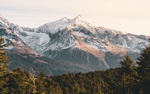 Preview wallpaper mountains, forest, landscape, peaks, snowy