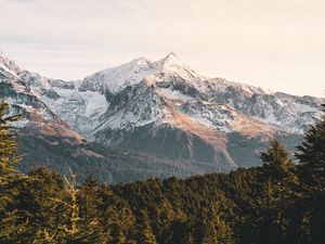 Preview wallpaper mountains, forest, landscape, peaks, snowy