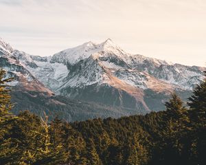 Preview wallpaper mountains, forest, landscape, peaks, snowy
