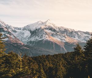 Preview wallpaper mountains, forest, landscape, peaks, snowy