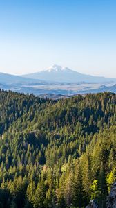 Preview wallpaper mountains, forest, landscape, nature, aerial view