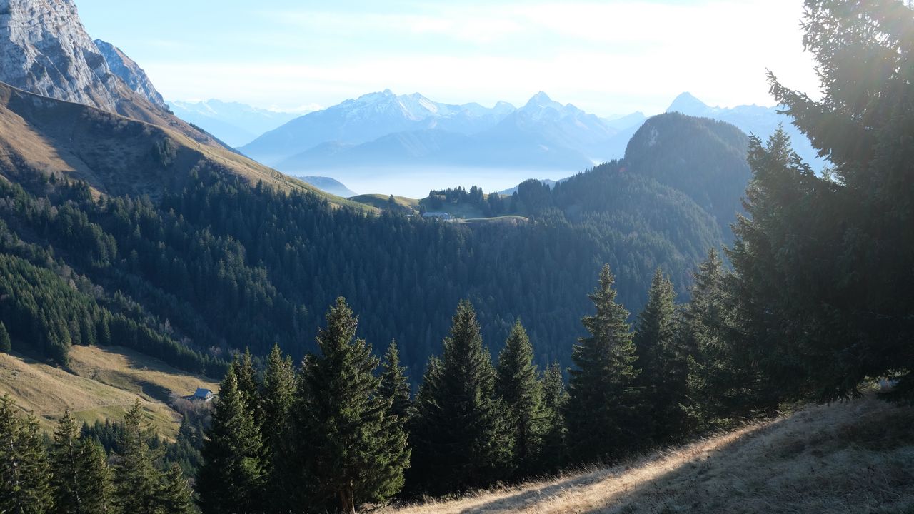 Wallpaper mountains, forest, landscape, nature