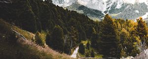 Preview wallpaper mountains, forest, path, landscape, nature